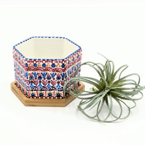 Succulent Pot